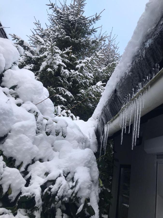 Schönwald Waldchalet am Musenberg Stryck Exterior foto