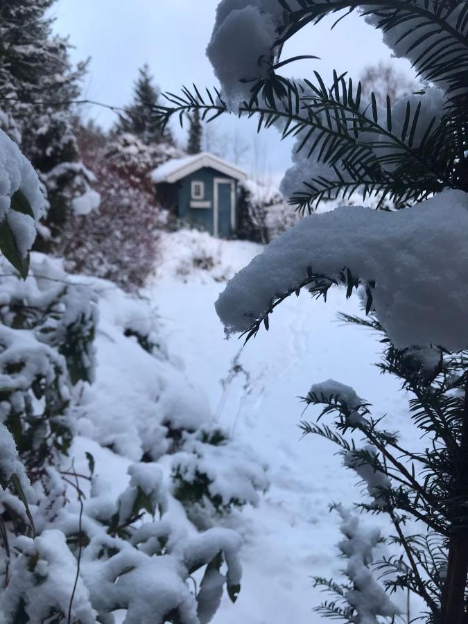 Schönwald Waldchalet am Musenberg Stryck Exterior foto