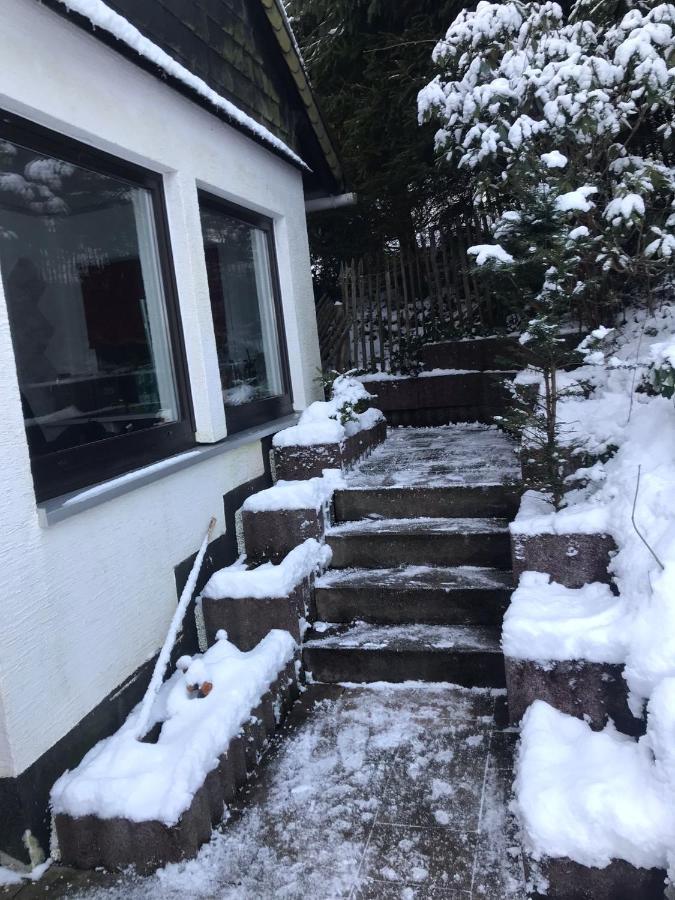 Schönwald Waldchalet am Musenberg Stryck Exterior foto