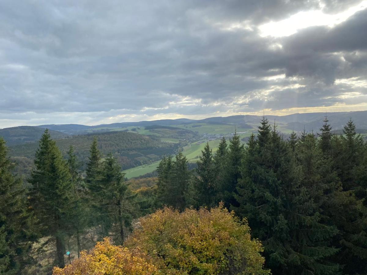Schönwald Waldchalet am Musenberg Stryck Exterior foto